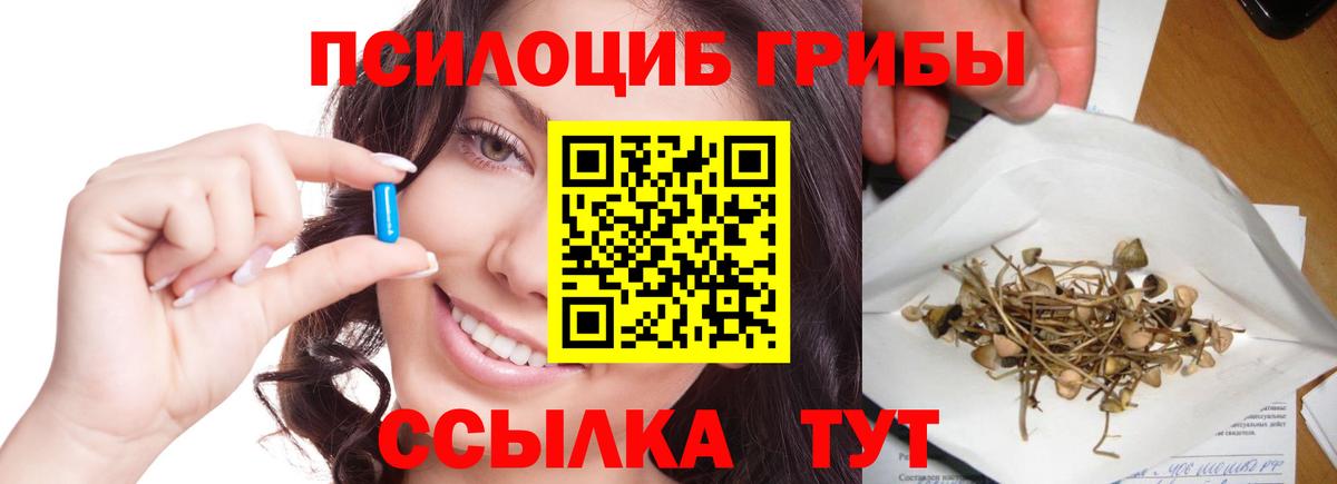 Псилоцибиновые грибы Cubensis  Вход с VPN  Магадан 